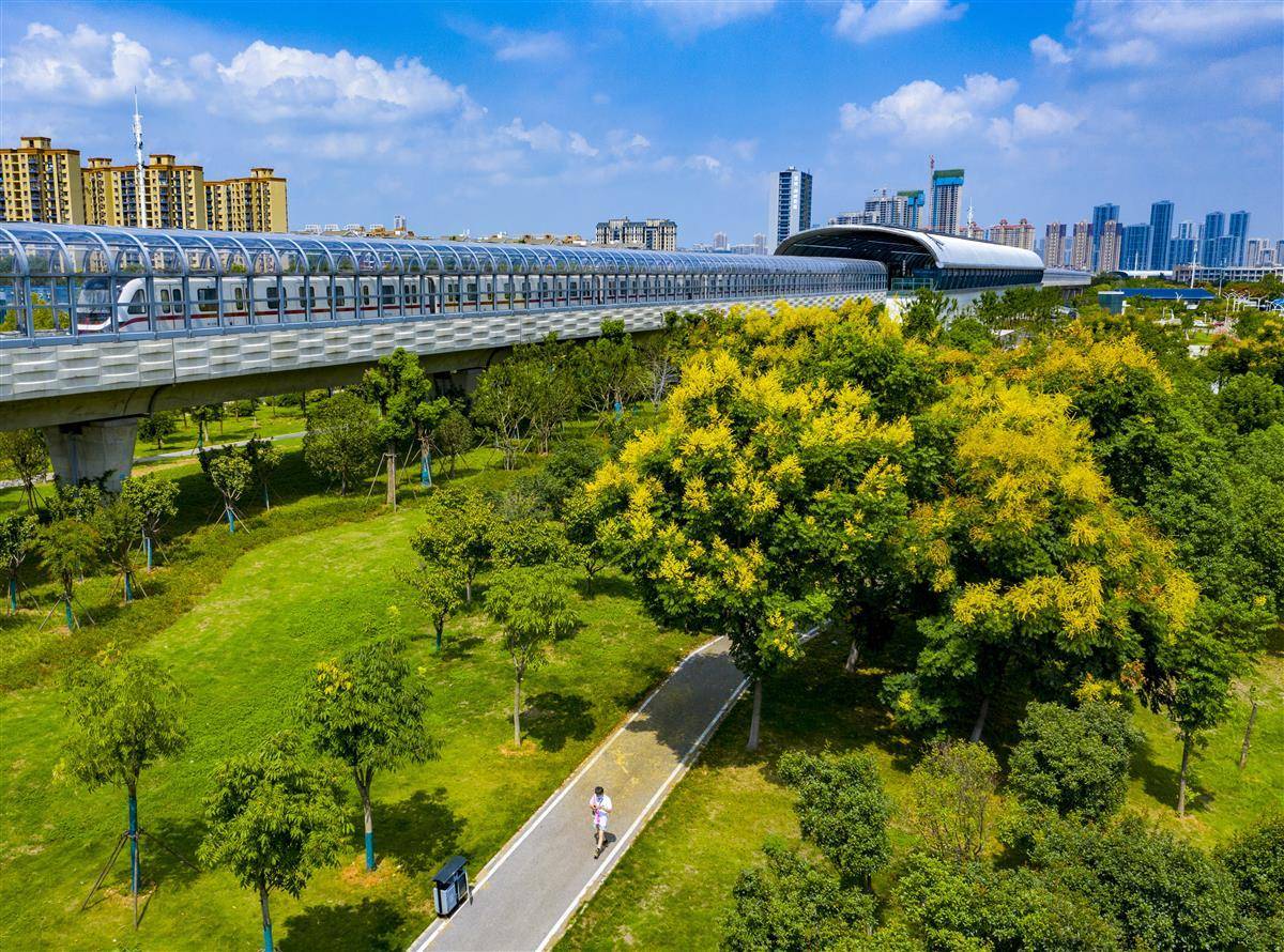 威尼斯现金真钱